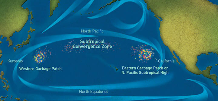 Garbage Patch convergence Zone