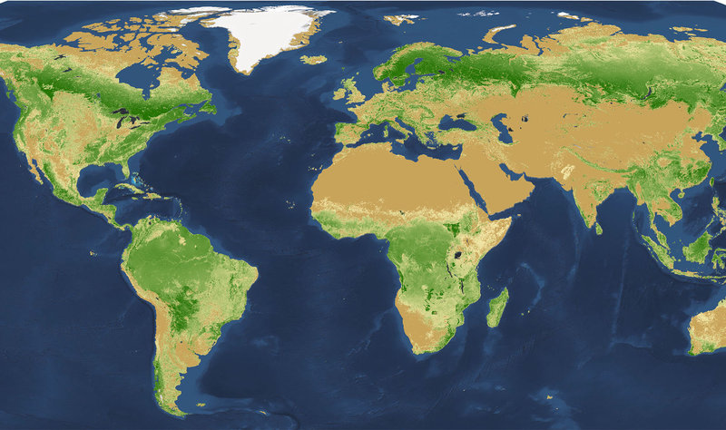 World Map of Tree Density