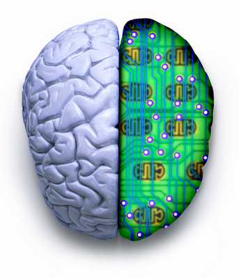 Computer Brain Similarities