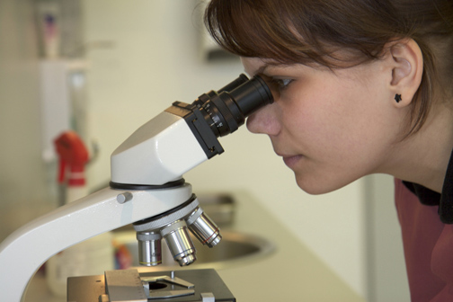 Women Looking Through a Microscope
