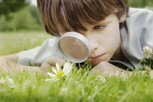 Boy with Magnifying Glass Learning
