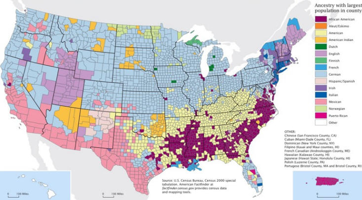 Ethic Populations in America