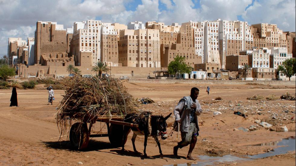 Manhattan of the Desert in Yemen (Buildings made of Dirt))