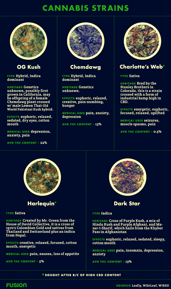 Pot Types and Genomes Cannabis Strains