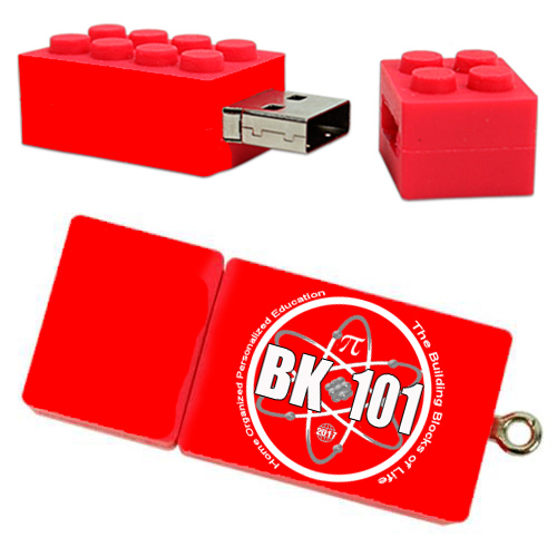 Lego Brick Jump Drive