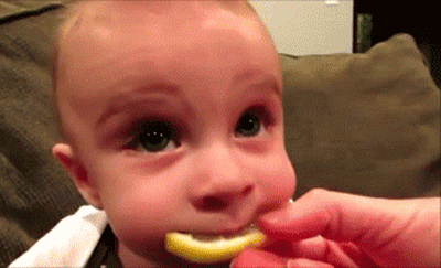 Baby Eating Lemon