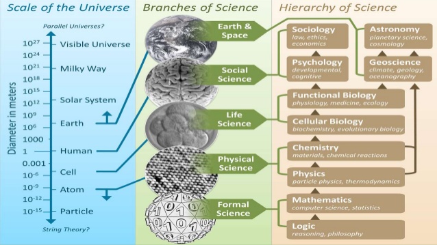 Branches of Science