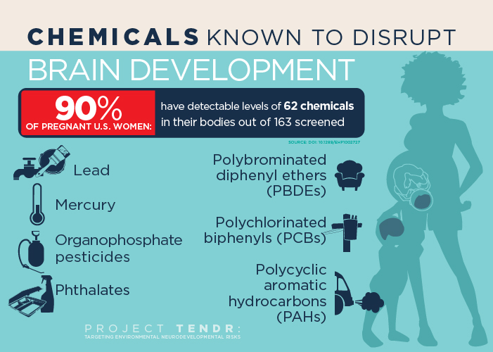 Chemicals that Endanger Child Brain Development
