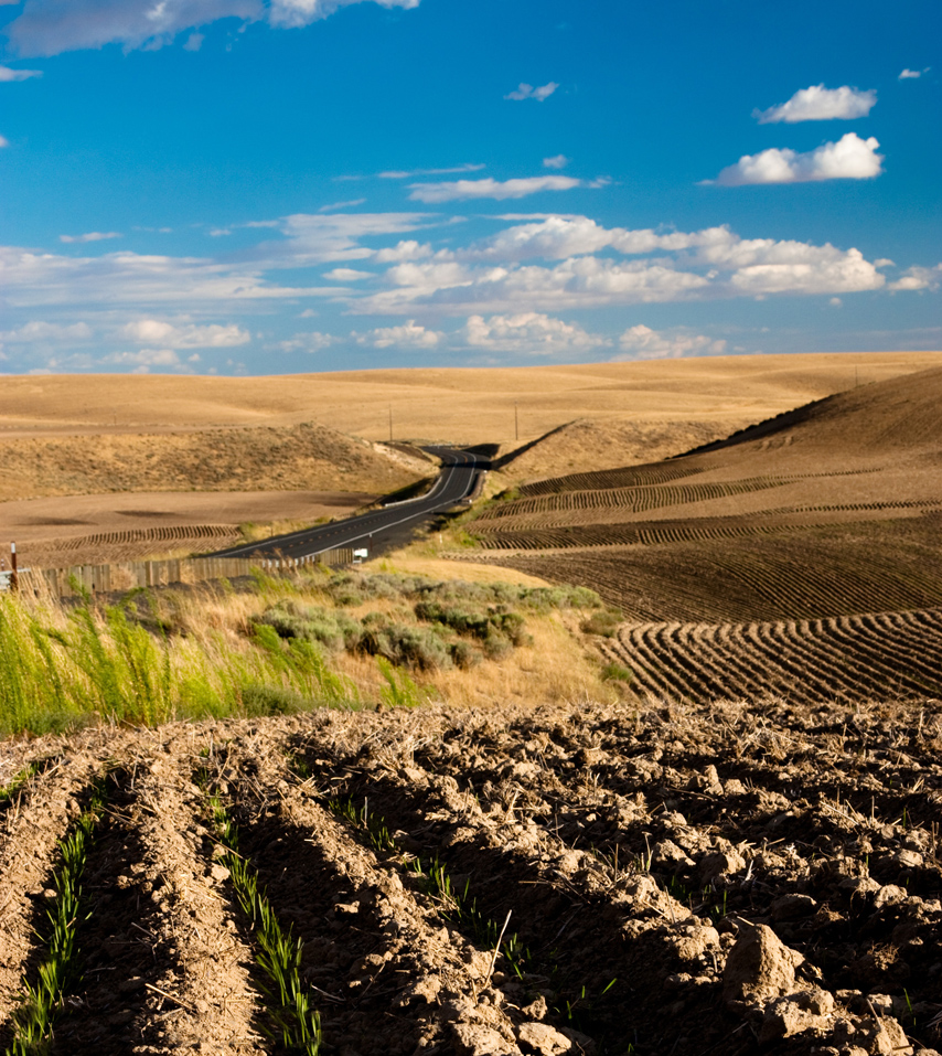 Dry Land Farm